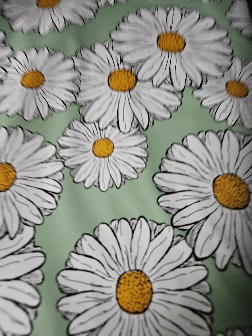Green Daisy Polymailer Packages